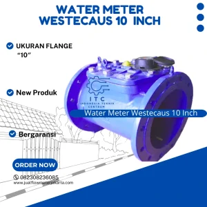 Water Meter Westecaus 10 inch